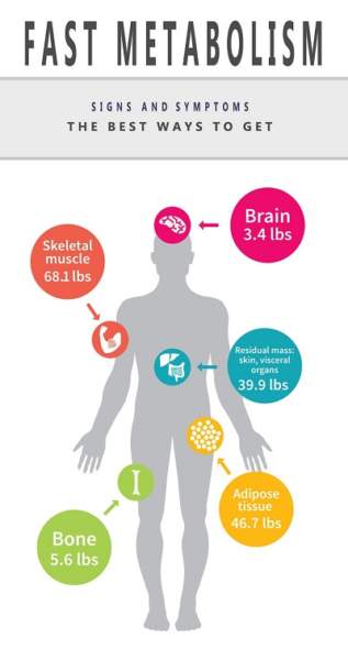 how to Boost Metabolism Fast